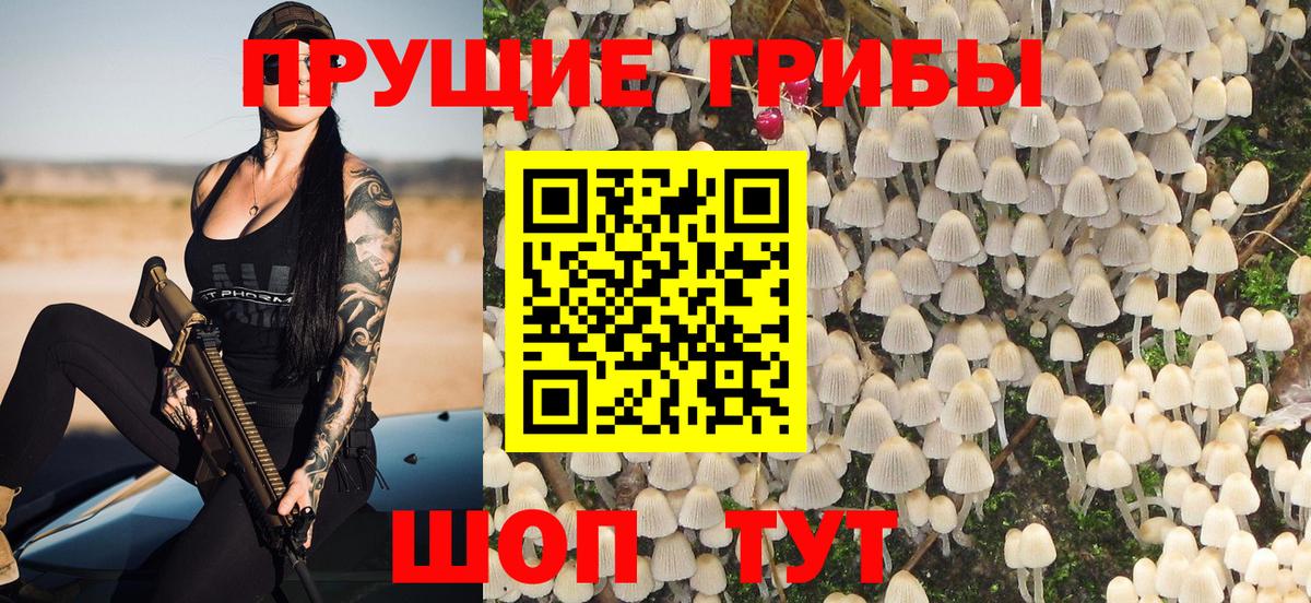 Галлюциногенные грибы мухоморы Советская Гавань