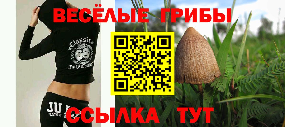 Галлюциногенные грибы Cubensis  Галлюциногенные грибы Cubensis  Советская Гавань  Вход с VPN 