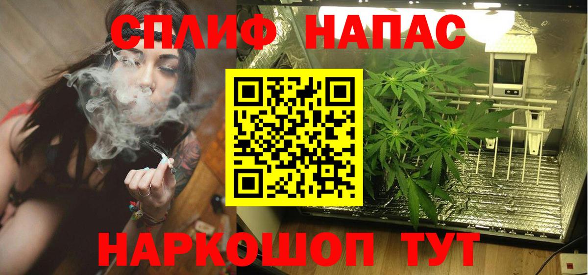 Бошки марихуана Amnesia  Конопля тримм  Советская Гавань  Вход с VPN  Каннабис ГИДРОПОН 